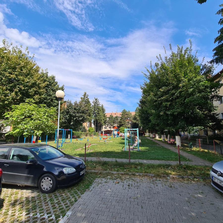 My Cozy Nest - 2 Rooms Apartment Târgu-Mureş المظهر الخارجي الصورة